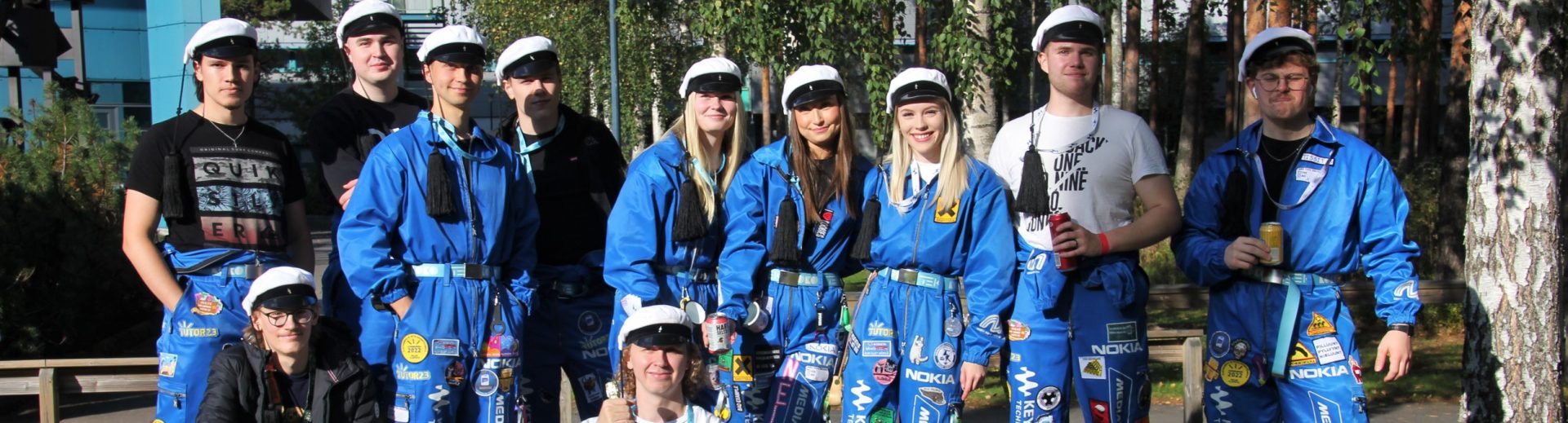 ProSähköHoitositsit 2015